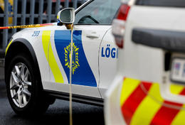 Two American children found in Iceland
