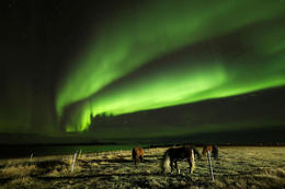 Northern lights and the moon next to Mars tonight