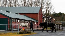 Horse manure is defined as animal products, not hazardous waste