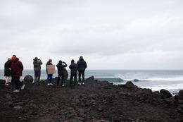 Construction halted in Þorlákshöfn