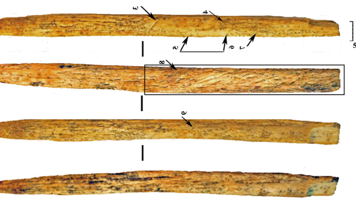 Neanderthals invented their own bone weapon technology by 80,000 years ago