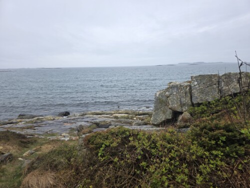 Angrer aldri…