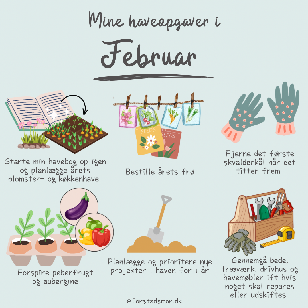 Havekalender: Februar