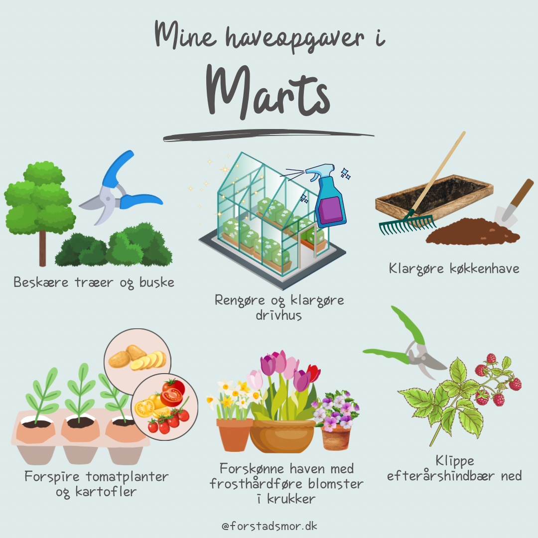 Havekalender: Marts