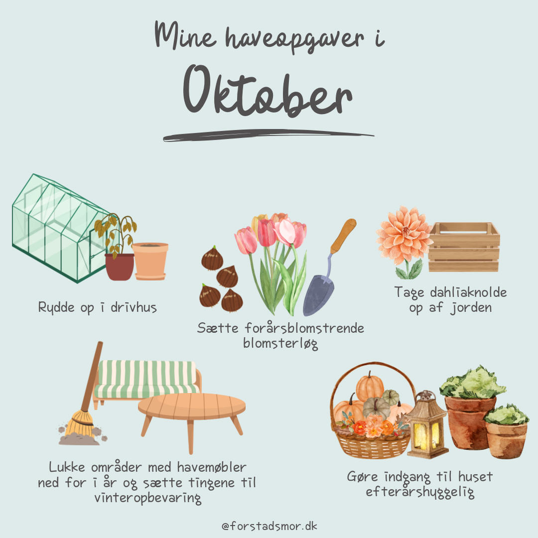 Havekalender: Oktober