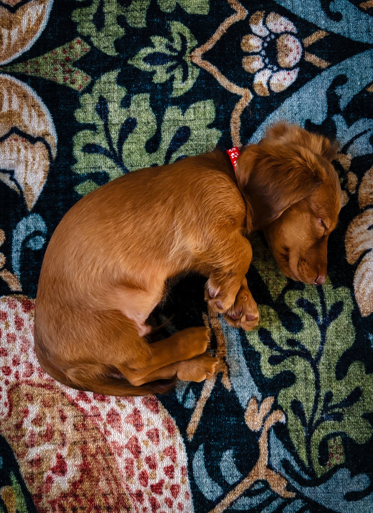 Have a Relaxing Weekend.