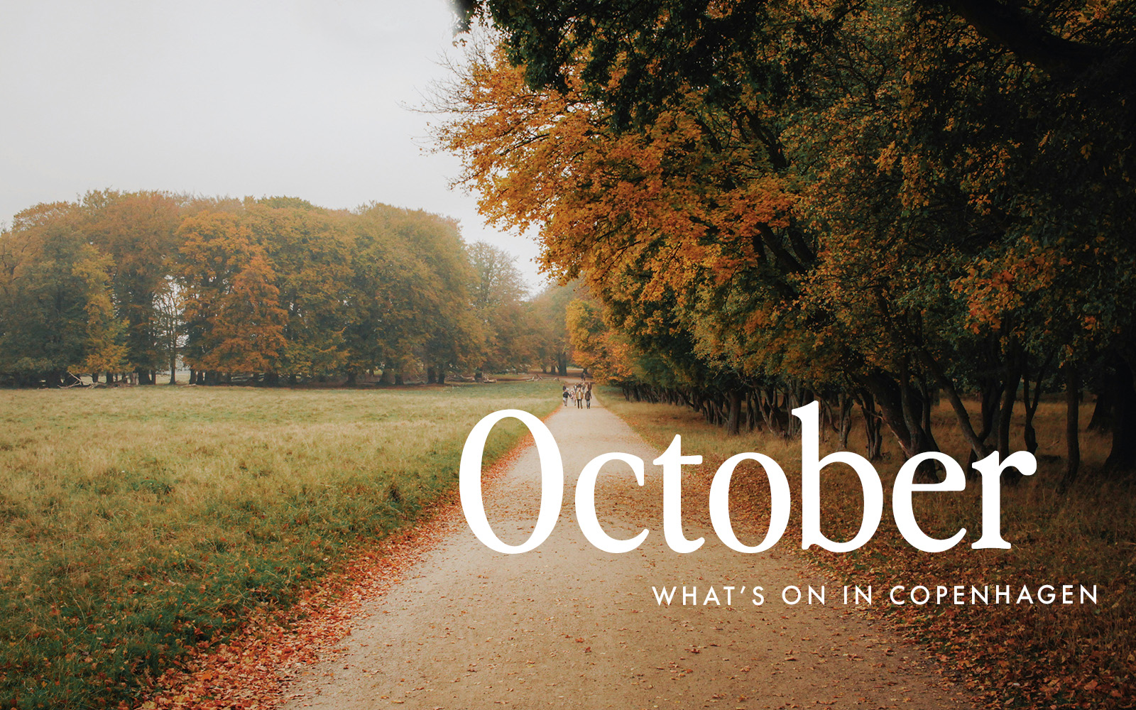 What’s On in Copenhagen: Events in October 2024