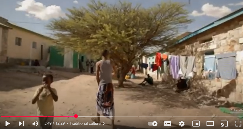 En stank af gylle med fodlænker og pisk med plastikrør – sådan var en del af hverdagen for dansk-somalieren Amal i to somaliske opdragelseslejre