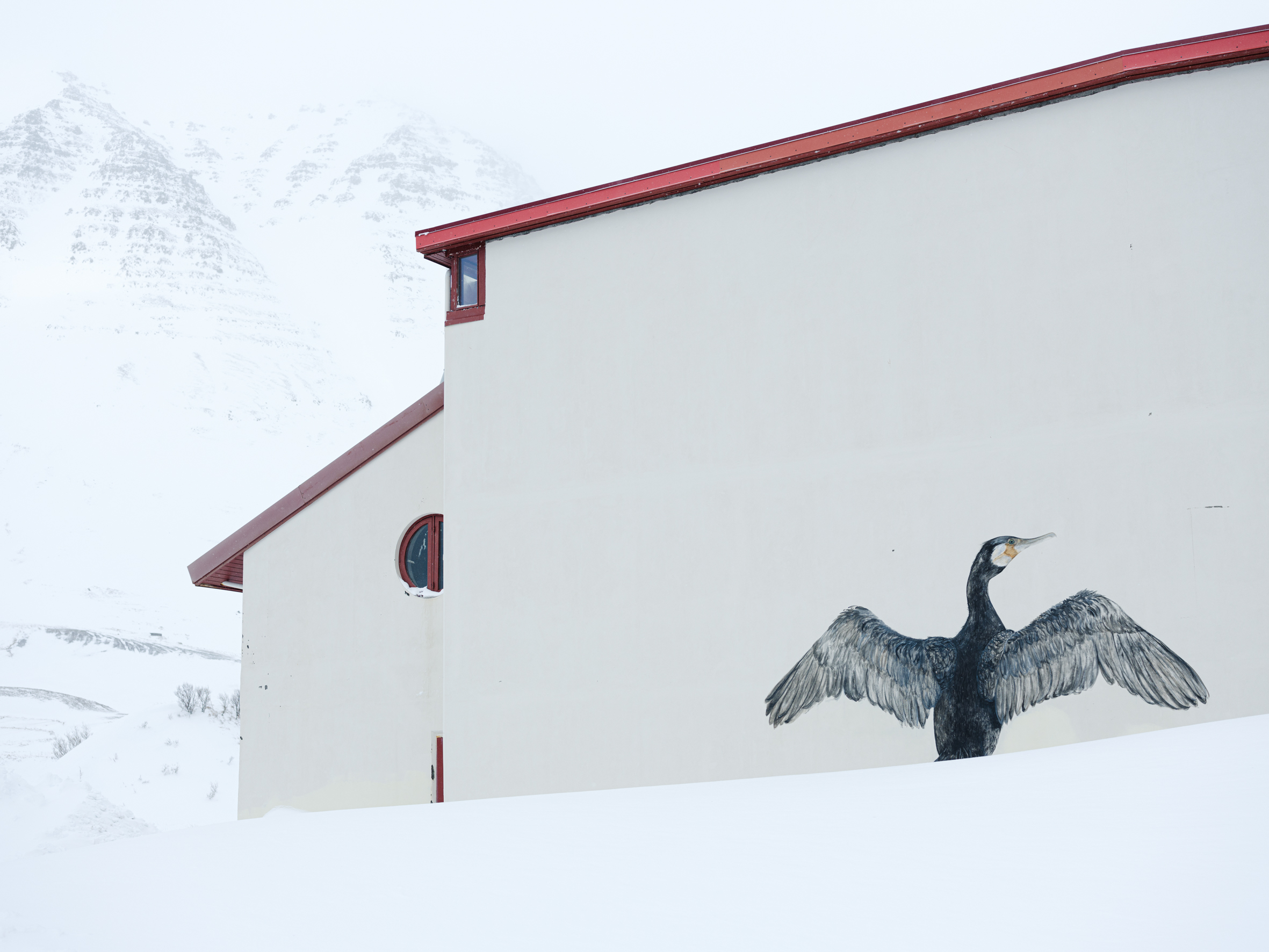 Chasing Birds In The Snow