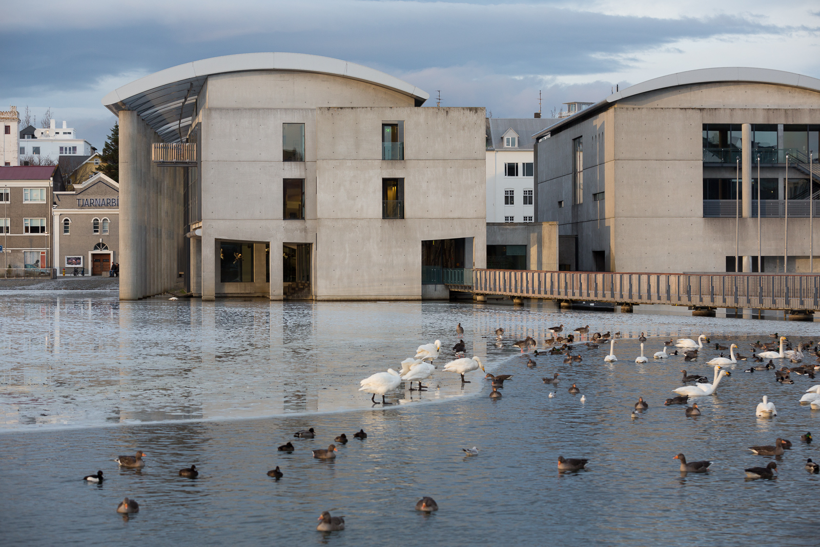 Five Parties Begin Formal Negotiations For Reykjavík Council