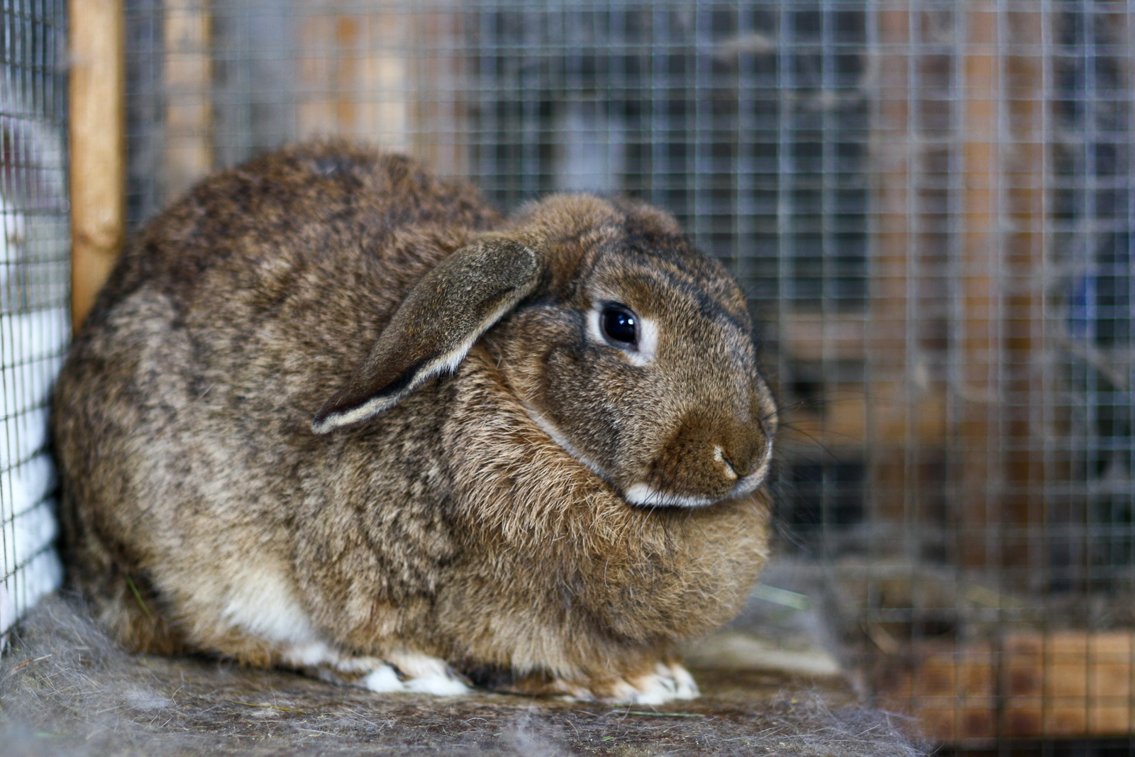 Easter 2025 Opening Hours In Iceland