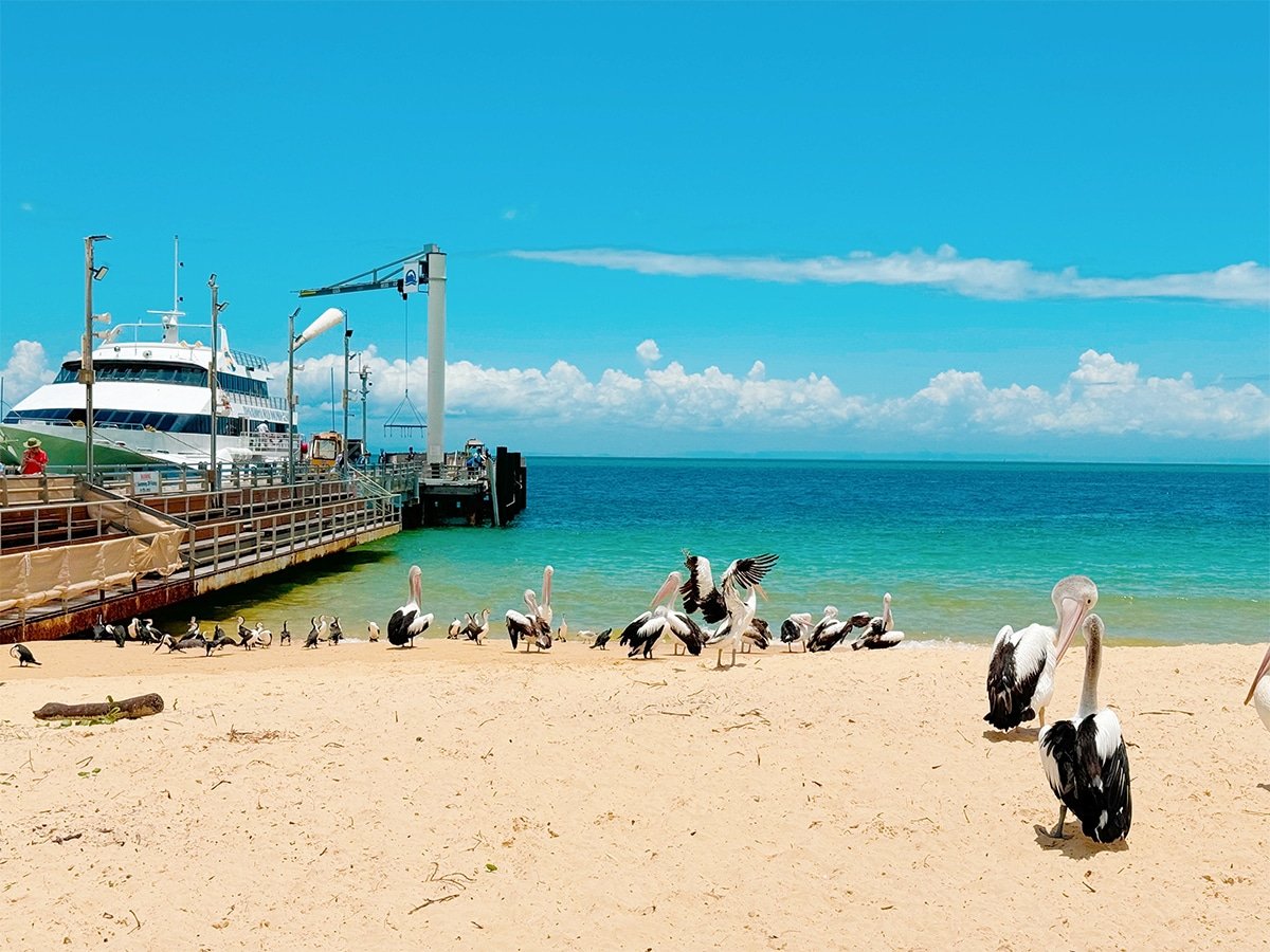 Our Fun Day Trip to Tangalooma Island Resort on Moreton Island