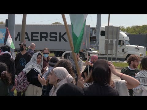Activism, Uncensored: "Hands Off" Protests and Pro-Palestine Activists Rally in DC