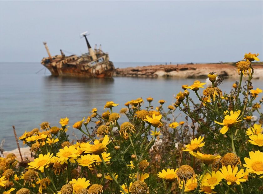 Things to do in Paphos: What to See, Do and Eat
