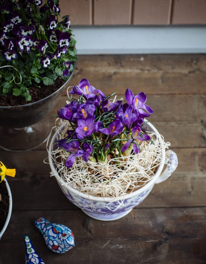 Fastekalender – 12 april