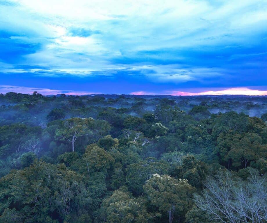 6 of the best luxury stays in the Amazon