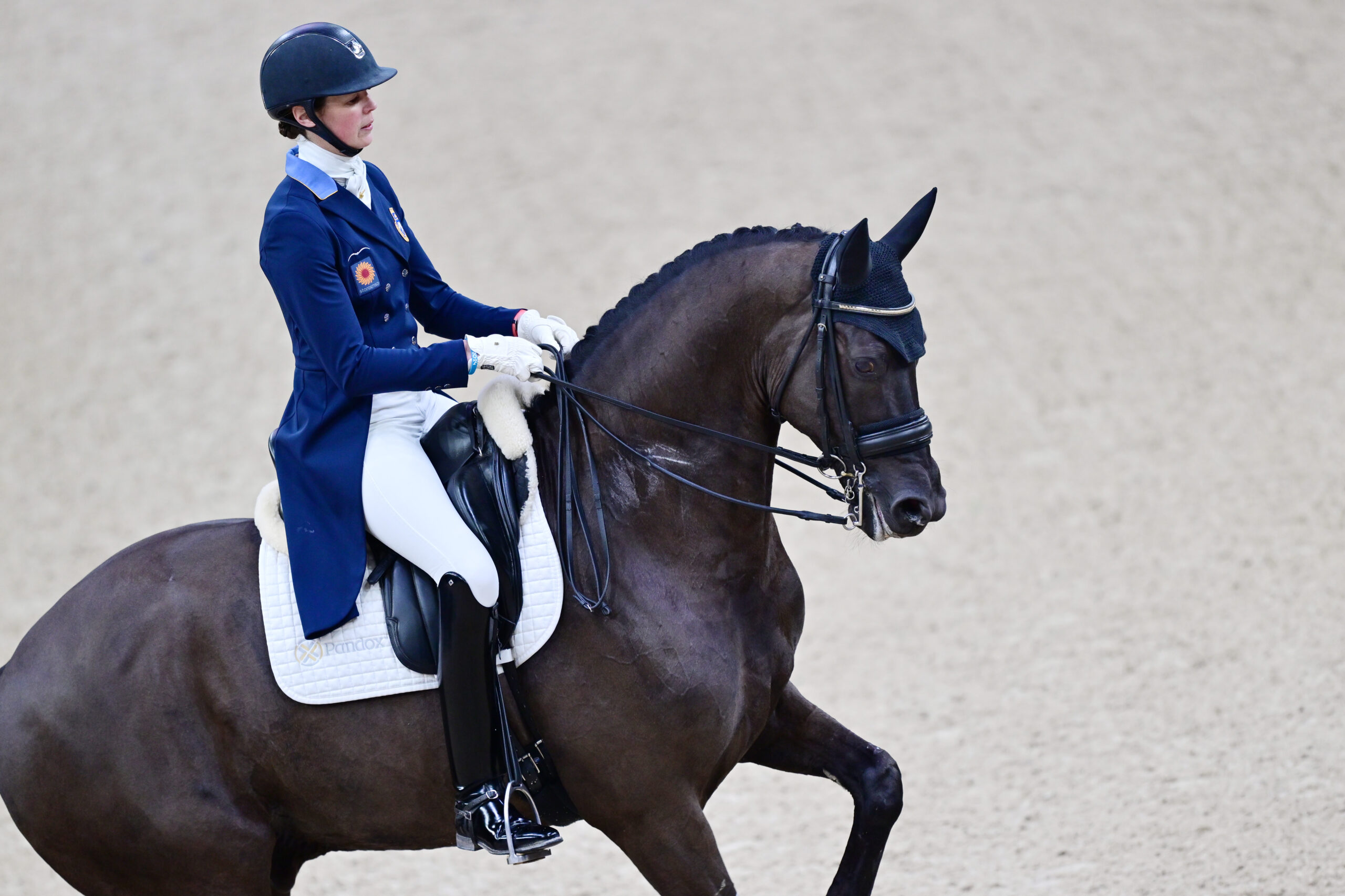 Folsterbro Horse Show blir til Al Shira’aa Falsterbro Horse Shown