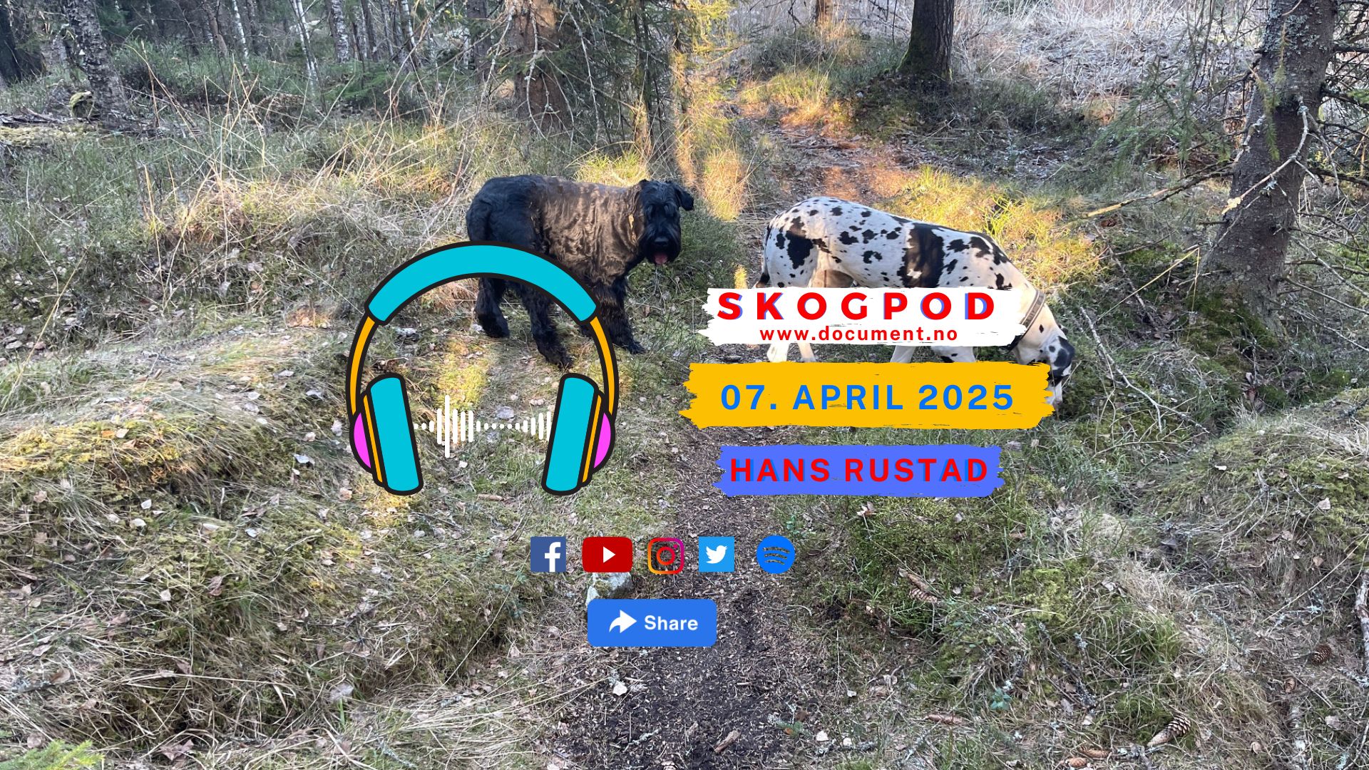 Skogpod 7. april 2025