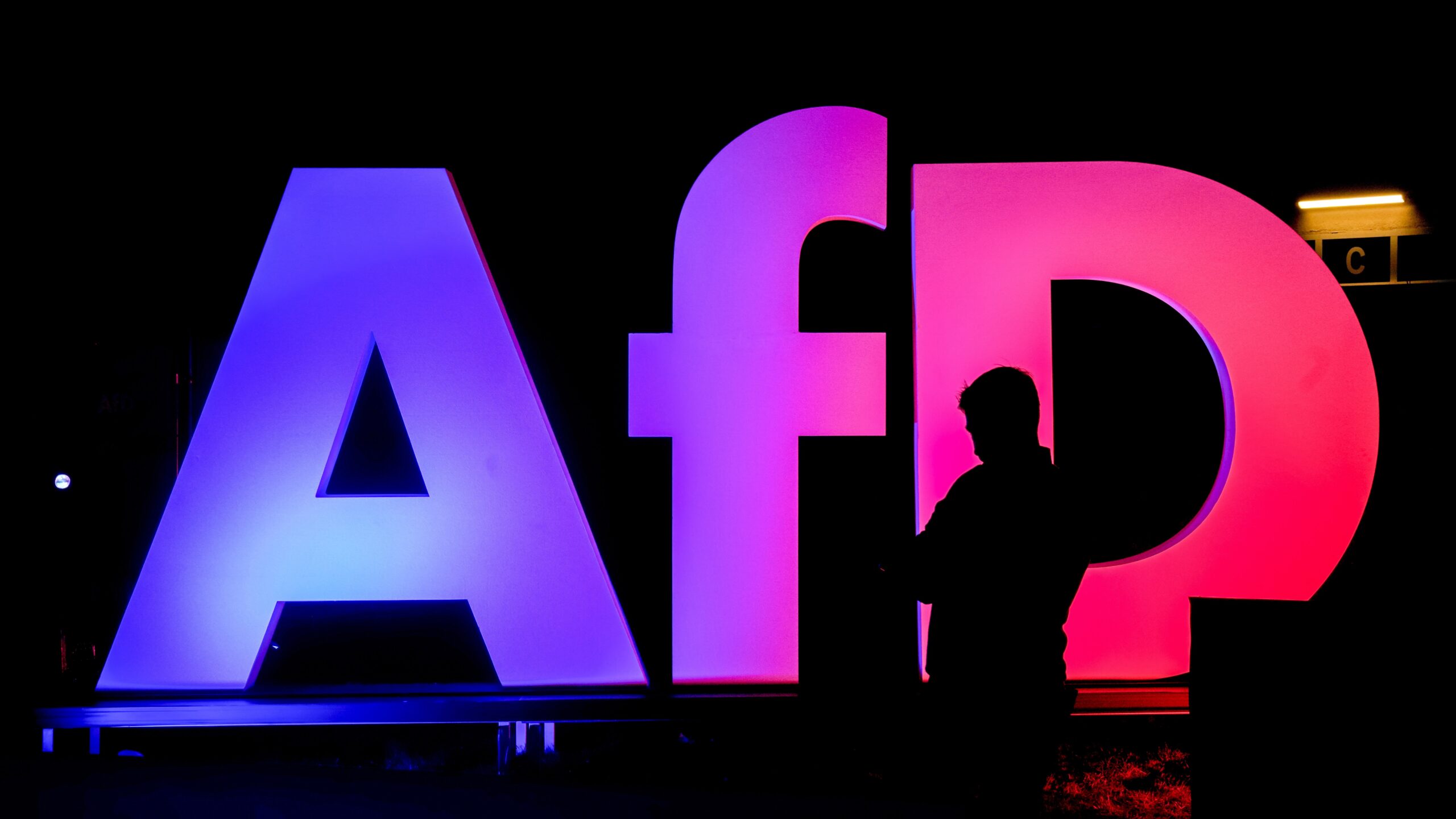 Bakgrunnen for ekstremisme-stemplingen av AfD blir ikke offentlig­gjort