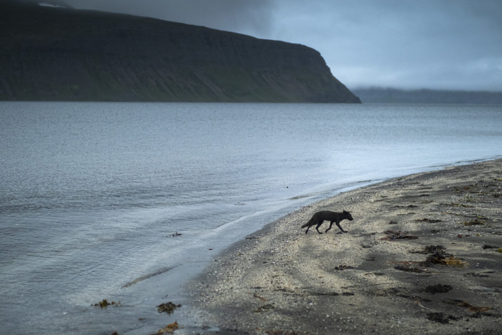 Starcodes Academy in Iceland Offers Mystic Insights