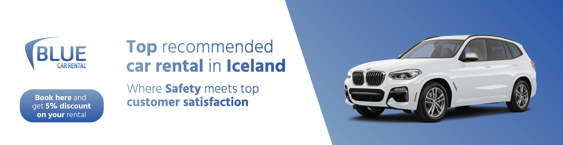 Iceland News Review: What Happens When A Polar Bear Visits Iceland