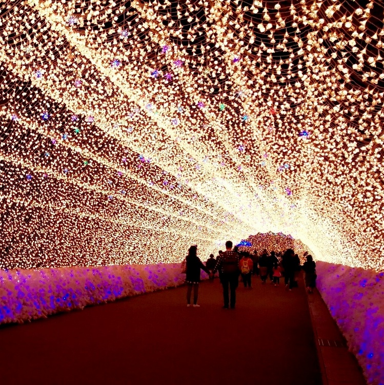 Japan’s Magical Festive Light Shows: Must-See Spots for a Glowing Experience