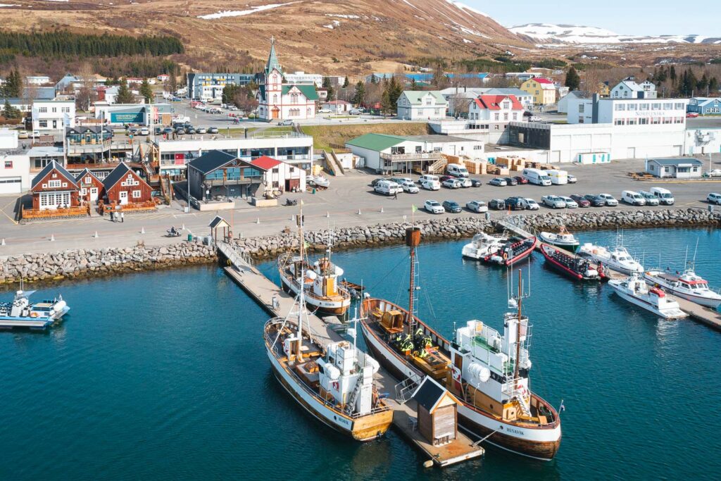May Whale Watching from Húsavík: Fantastic sightings of Blue whales