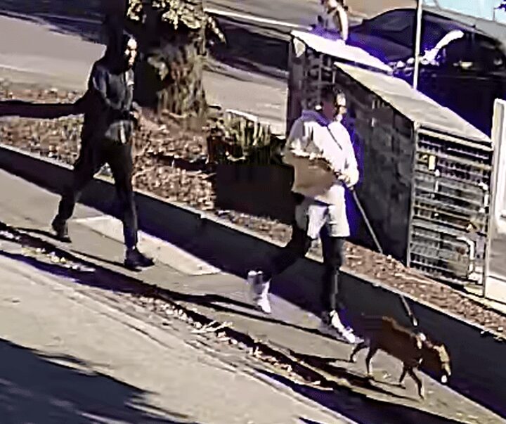 Hunt for knife-wielding Middle Eastern men over broad daylight robbery in Melbourne