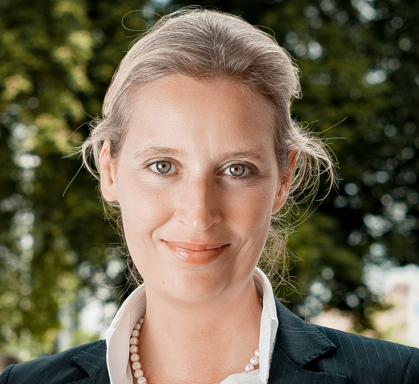 AfD og historiens øks